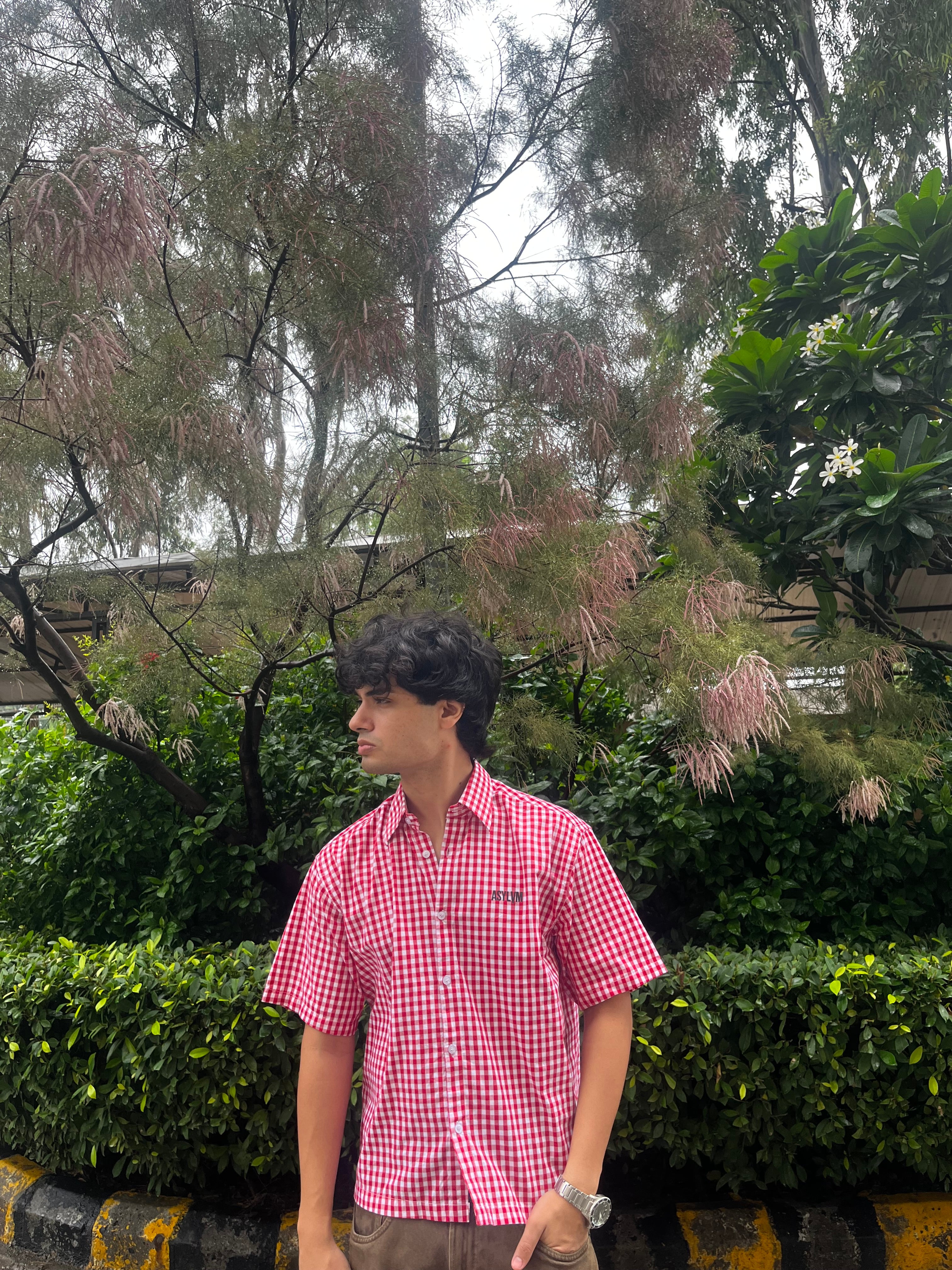 red picnic shirt